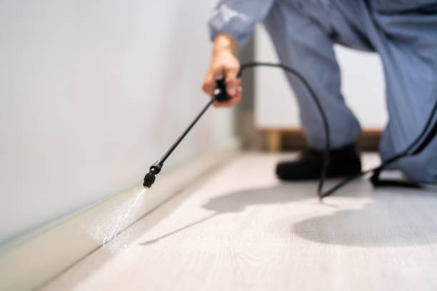 Licensed Termite Control service in Atlanta, GA - Nex Pest Control