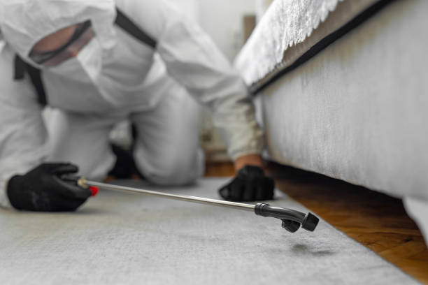Professional Termite Control technician working in Atlanta, GA