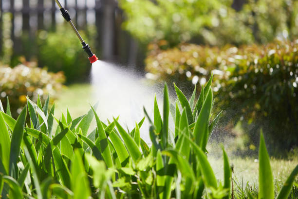 24/7 Emergency Termite Control experts in Atlanta, GA