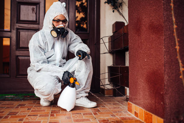 Reliable Termite Control contractor in Atlanta, GA by Nex Pest Control