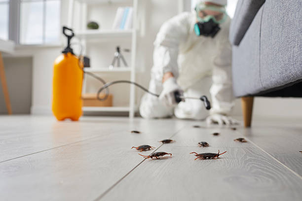 Trusted Cockroach Control service in Atlanta, GA - Nex Pest Control