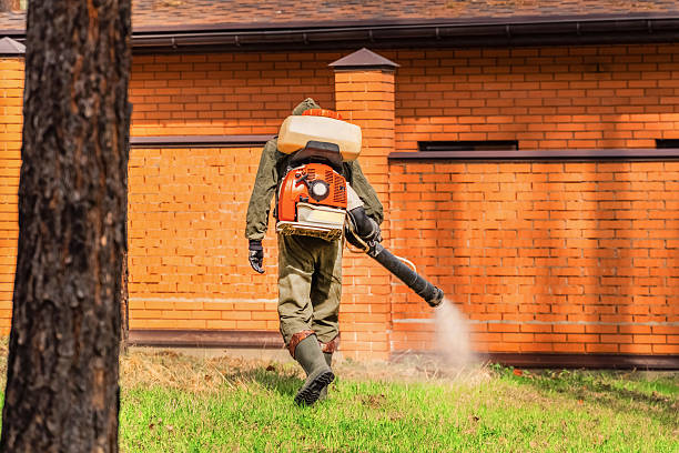 Trusted Mosquito Control service in Atlanta, GA - Nex Pest Control